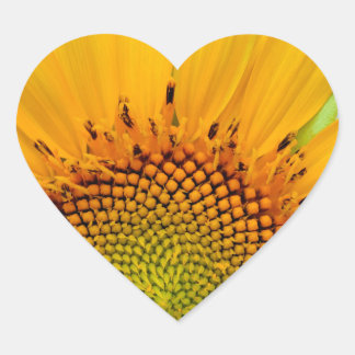 Adesivo Coração Girassol