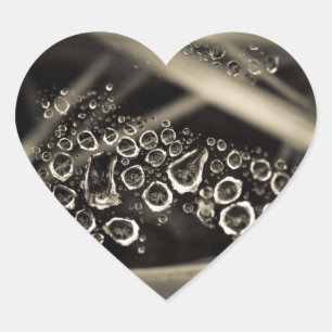 Adesivo Coração gotas de chuva na web