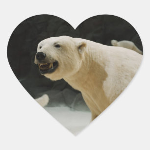 Adesivo Coração Grin do Urso Polar