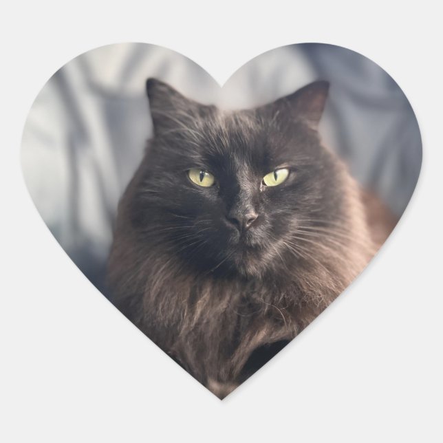 Adesivo Coração Gypsy - Vinhetas de Gato Preto (Frente)