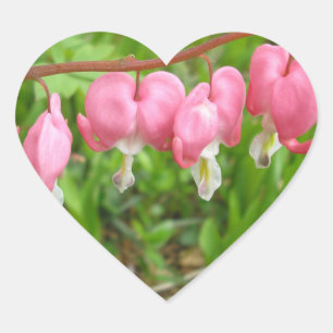 Adesivo Coração "Hearts Delight!"