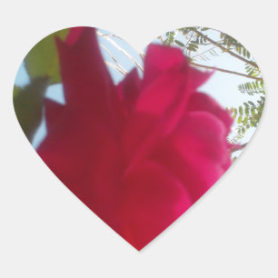 Adesivo Coração Heavenly Bloom: Um Rosa Contra o Céu