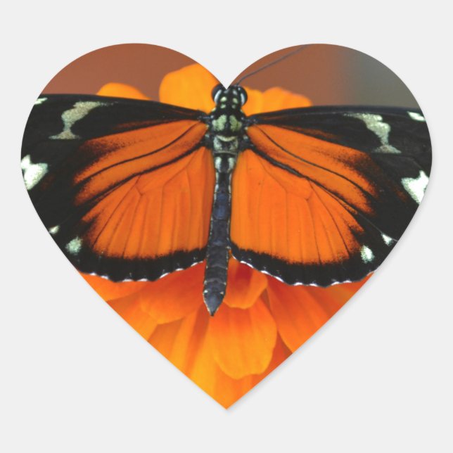 Adesivo Coração Hecale Longwing Butterfly (Frente)