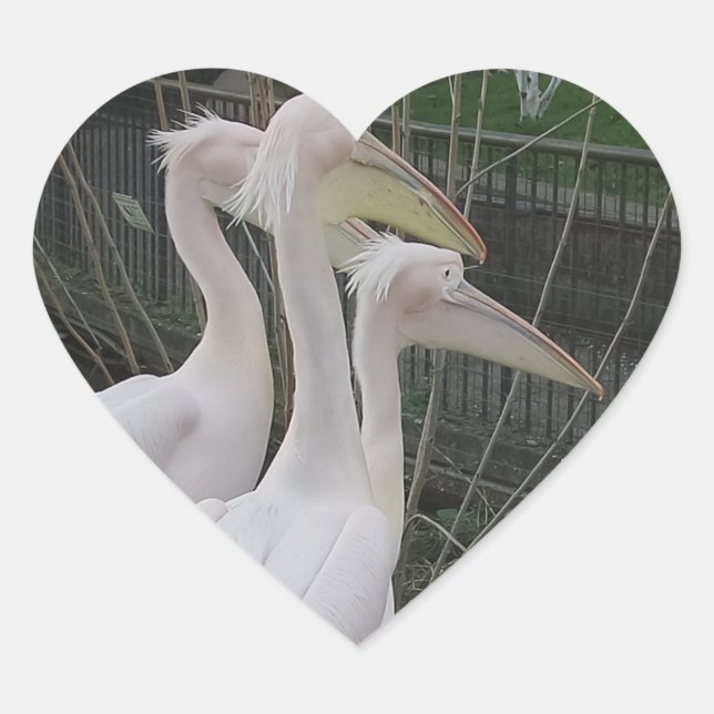 Adesivo Coração Herons Heart Sticker (Frente)