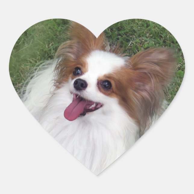 Adesivo Coração Hershey Kiss Hero Heart Sticker (Frente)