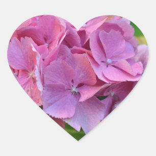 Adesivo Coração Hortênsia Flor de Pompom Rosa
