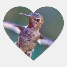 Adesivo Coração Hummingbird