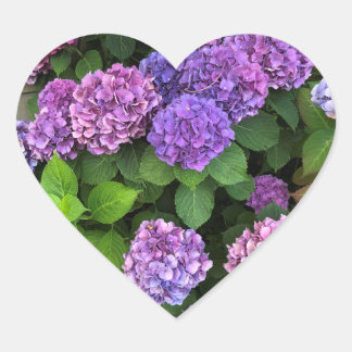Adesivo Coração Hydrangea Heart Stickers