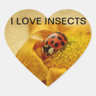 Adesivo Coração Ich liebe Marienkäfer
