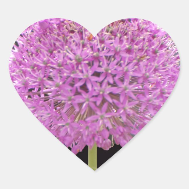 Adesivo Coração Illium Summer Primavera Flor - Design irlandês (Frente)