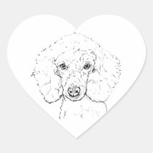 Ilustração de Cachorro Poodle Fofo, Desenhado à Mã