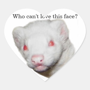 Adesivo Coração Imagem de Albino Ferret