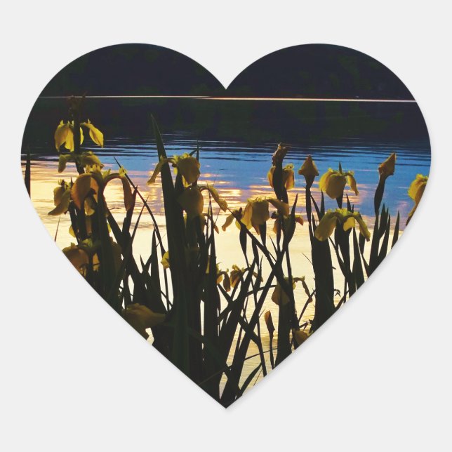 Adesivo Coração Íris Amarelo no lago da margem (Frente)