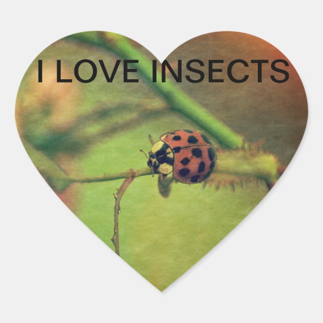 Adesivo Coração Joaninha (Frente)