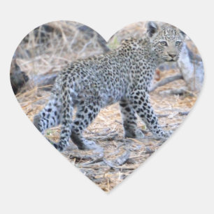 Adesivo Coração Leopardo Bonito Na Prowl
