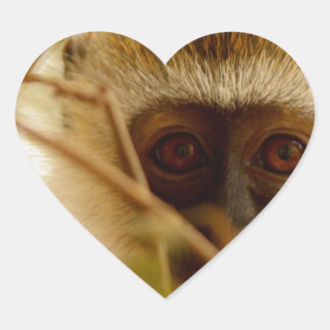 Adesivo Coração Macaco atrevido. (Frente)