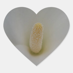 Adesivo Coração Magnolia Flower Heart Sticker