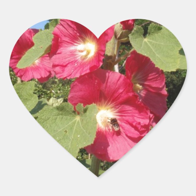 Adesivo Coração Malvariscas Rosa (Frente)