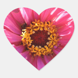 Adesivo Coração Margarida de mãe floral rosa elegante