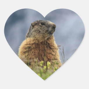 Adesivo Coração marmota no prado alpino