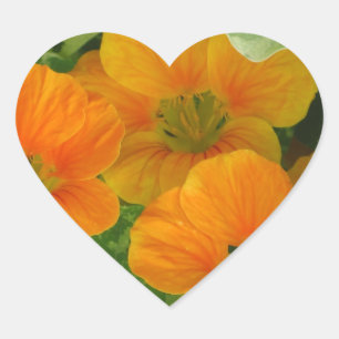 Adesivo Coração Nasturtium Heart Sticker
