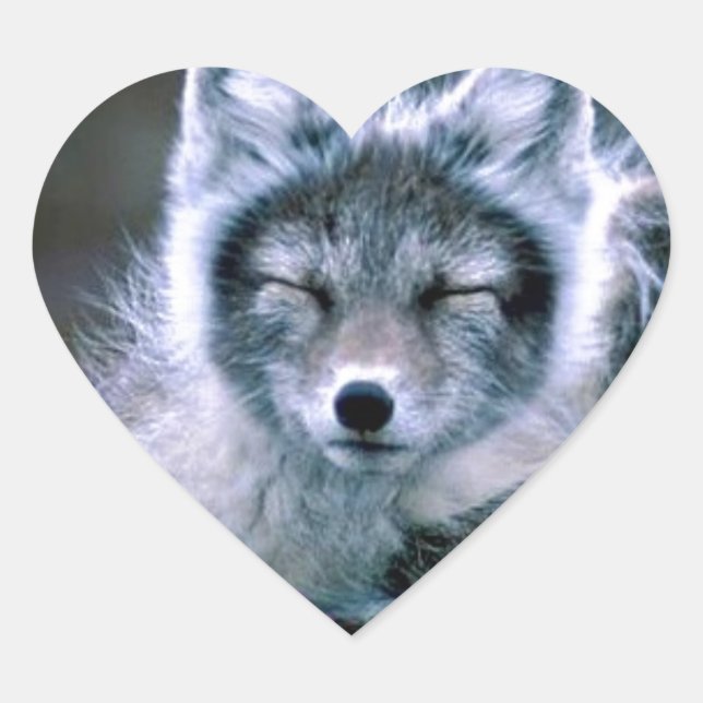 Adesivo Coração Natureza (Frente)