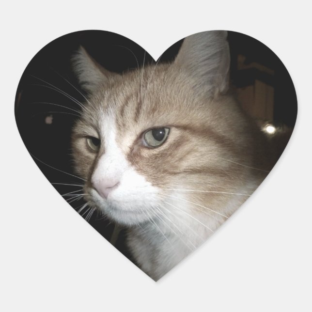 Adesivo Coração O que ele está pensando? (Frente)