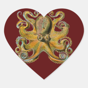 Adesivo Coração Octopus