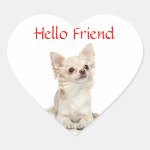 Adesivo Coração Olá Amigo Chihuahua de Cabelo CompridoHeart Adesi