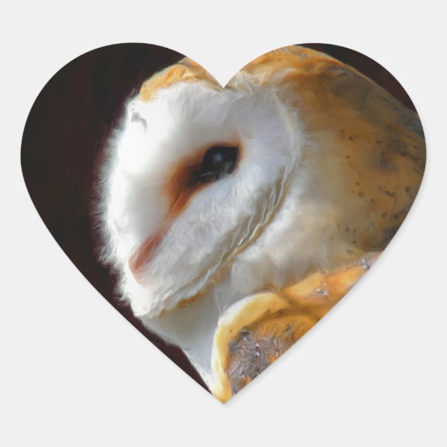 ADESIVO CORAÇÃO OWLS (Frente)