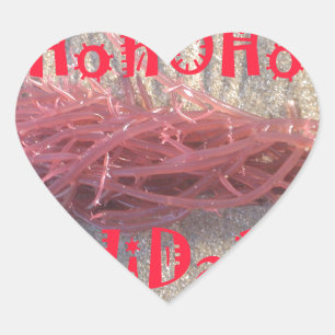 Adesivo Coração Papais noeis HoHo Feliz Natal das cores da praia