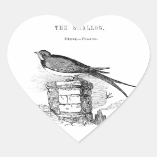 Adesivo Coração Pássaro da andorinha do vintage