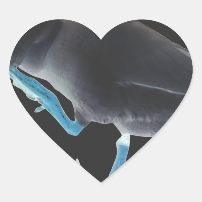 Adesivo Coração Pato com eu acordei como este texto do & Hakuna Ma (Frente)