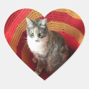 Adesivo Coração Pearl Cat no Afeganistão