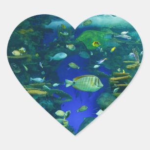 Adesivo Coração Peixes Tropicais