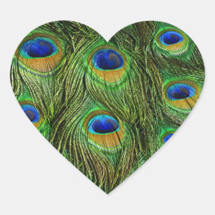 Adesivo Coração Penas de Peacock