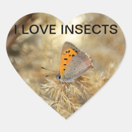 Adesivo Coração Pequena Borboleta do Fogo