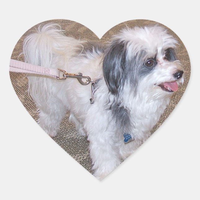 Adesivo Coração Pequeno Vinheta Cachorro (Frente)