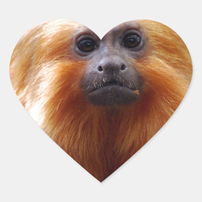 Adesivo Coração Personalizar produto (Frente)