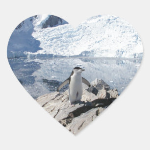 Adesivo Coração Pinguins de Chinstrap na Antártica