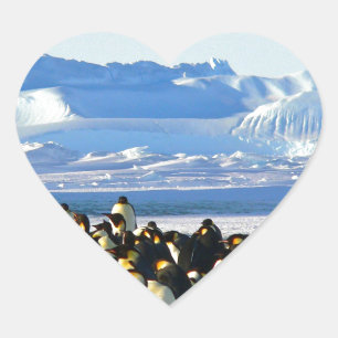 Adesivo Coração Pinguins imperadores