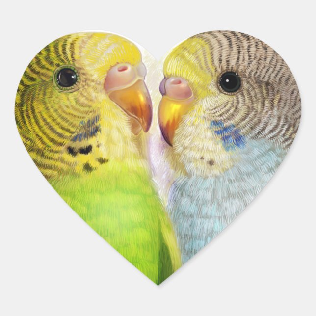 Adesivo Coração Pintura realista do Budgerigars (Frente)
