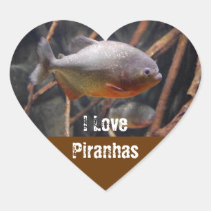 Adesivo Coração Piranha - Innocent que olha peixes de Brown