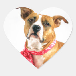 Adesivo Coração Pit Bull Puppy Love in Pink XOXO