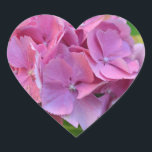 Adesivo Coração Pompom Rosa Hidrangea Hortensia Flor<br><div class="desc">Hortensia Elegante e Rústica Hydrangea macrophylla florescendo no jardim de verão. A hydrangea representa gratidão,  graça e abundância. Suas cores simbolizam amor,  harmonia e paz. Fotografia floral.</div>