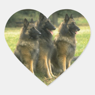 Adesivo Coração Presentes do german shepherd