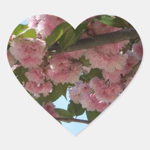 Adesivo Coração Primavera cor-de-rosa de florescência dobro da