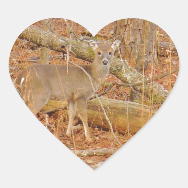 Adesivo Coração Primeiro inverno do Baby Deer (Frente)