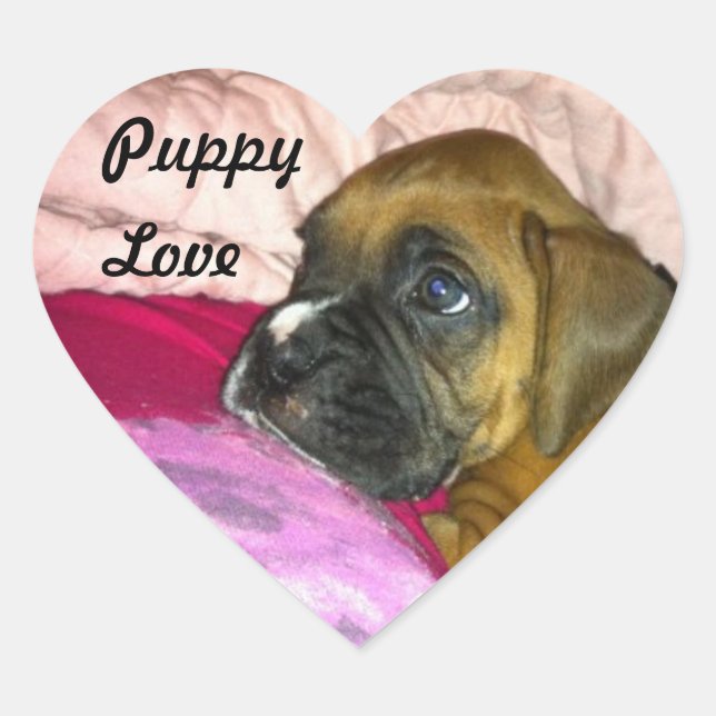 Adesivo Coração Puppy Love Boxer Sticker Dexter (Frente)