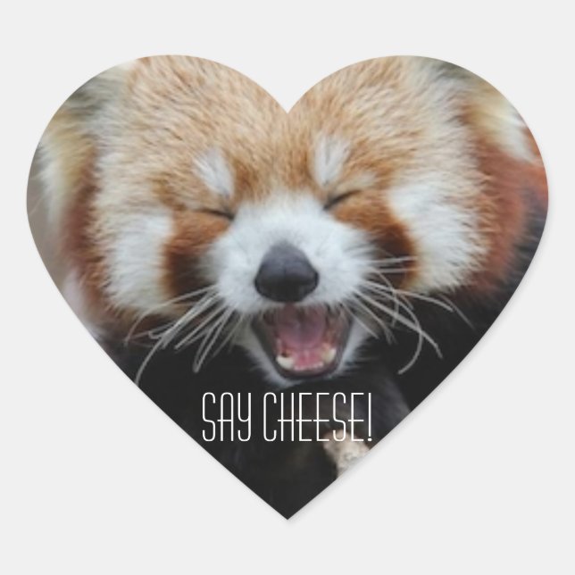 Adesivo Coração Red Panda - Diga "Queijo"! (Frente)